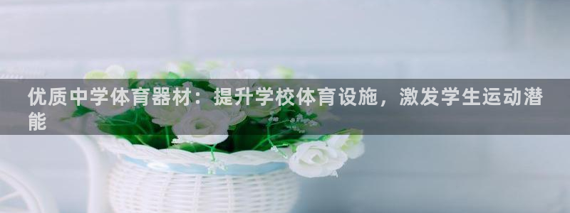 星欧娱乐属于什么档次的公司：优质中学体育器材：提升学