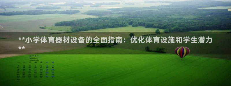 星奥娱乐艺人：**小学体育器材设备的全面指南：优化体