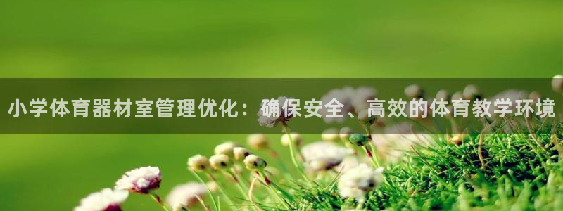 星欧娱乐平台地7O777：小学体育器材室管理优化：确