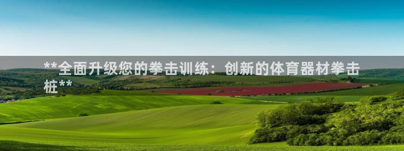星欧娱乐公司电话号码查询：**全面升级您的拳击训练：