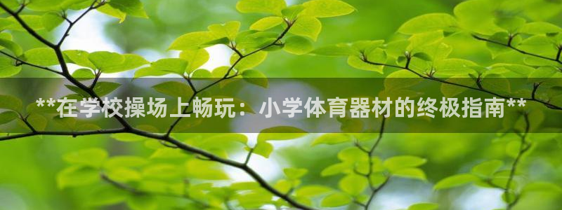 星欧娱乐平台测速线路怎么设置：**在学校操场上畅玩：