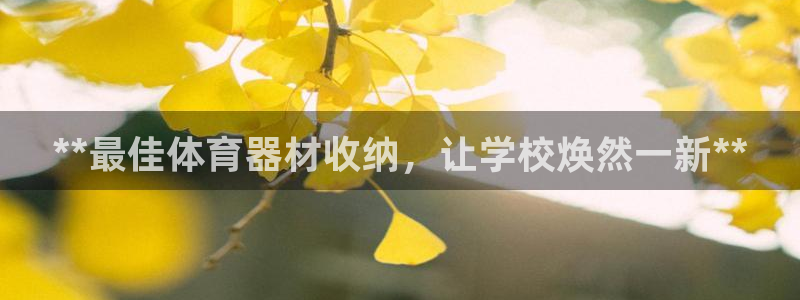 星欧娱乐测速：**最佳体育器材收纳，让学校焕然一新*