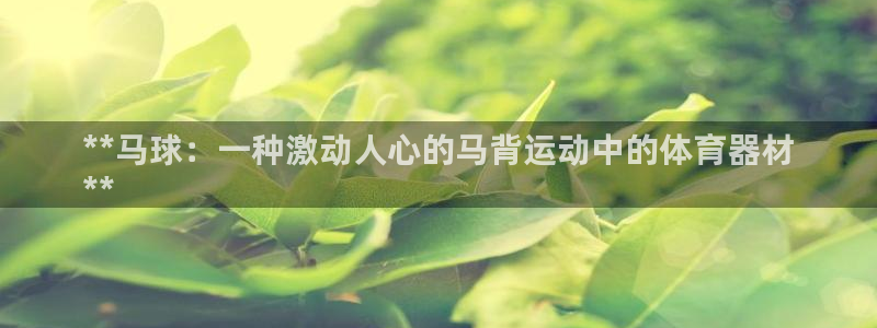 星欧娱乐扣款时间查询方法是什么样的：**马球：一种激