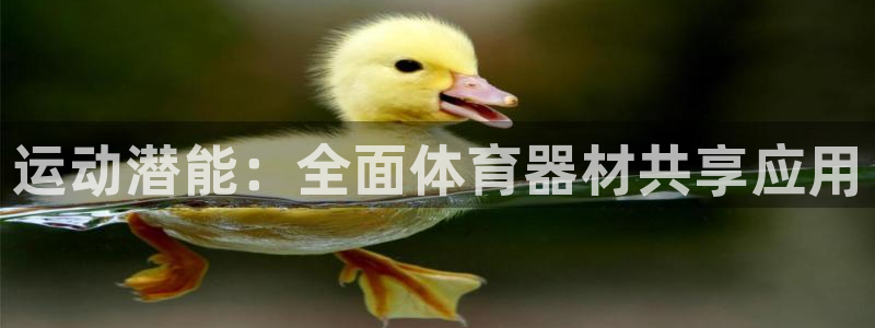 星欧娱乐最建议买的三个产品是什么呢：运动潜能：全面体