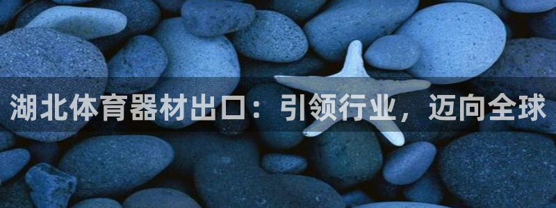 星欧娱乐平台地7O777：湖北体育器材出口：引领行业