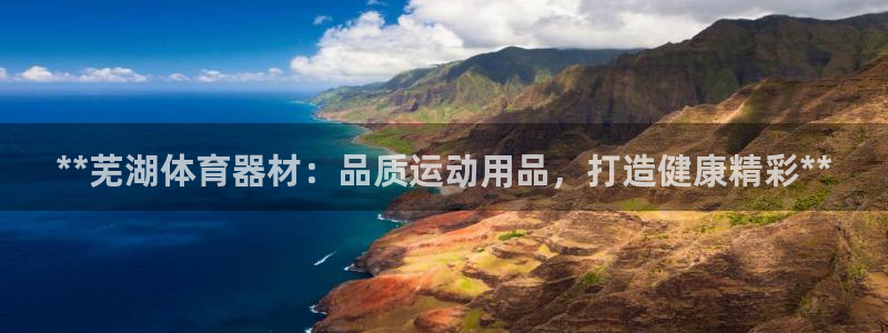 江苏星奥娱乐有限公司怎么样：**芜湖体育器材：品质运