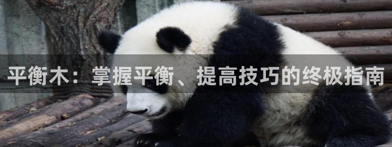 星欧娱乐平台量7O777：平衡木：掌握平衡、提高技巧