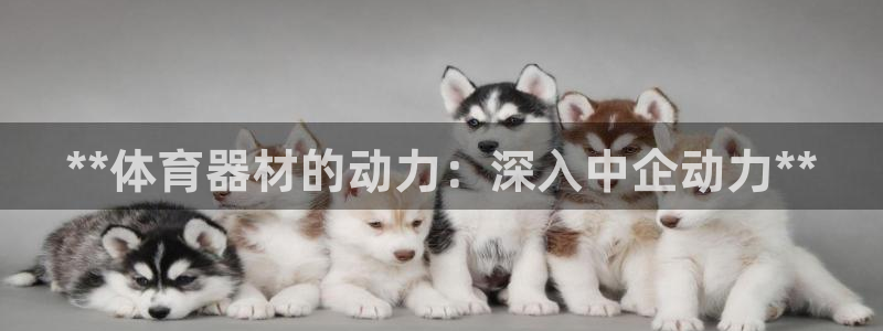 星欧娱乐最建议买的三个产品是什么意思：**体育器材的