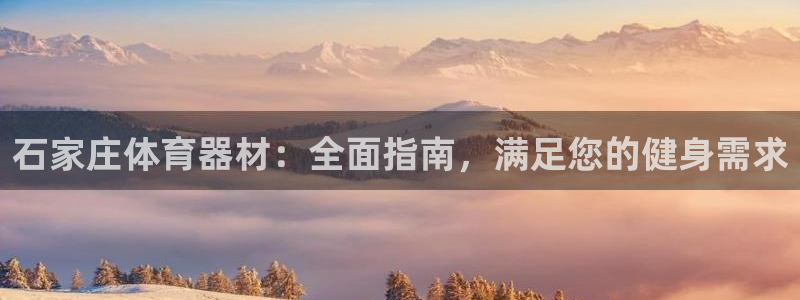 星欧娱乐挂机赚钱是真的吗：石家庄体育器材：全面指南，