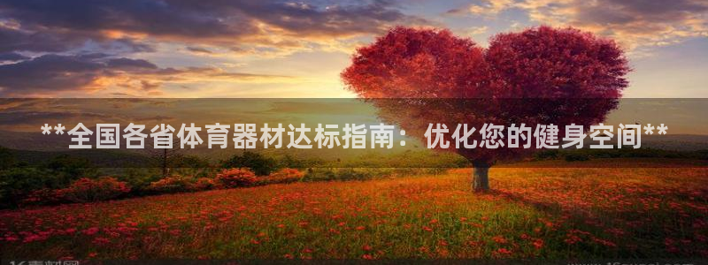 星奥娱乐集团官网：**全国各省体育器材达标指南：优化