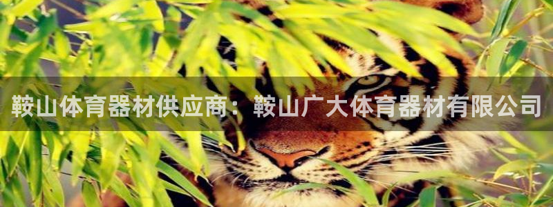 星欧娱乐被扣款7IIII怎么关闭：鞍山体育器材供应商