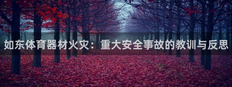 星奥娱乐集团股份有限公司招聘：如东体育器材火灾：重大