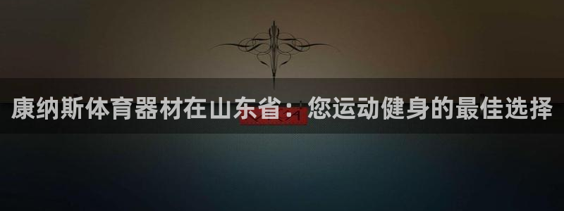 星欧娱乐是正规品牌吗：康纳斯体育器材在山东省：您运动
