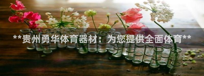 星欧娱乐最建议买的三个产品有哪些：**贵州勇华体育器