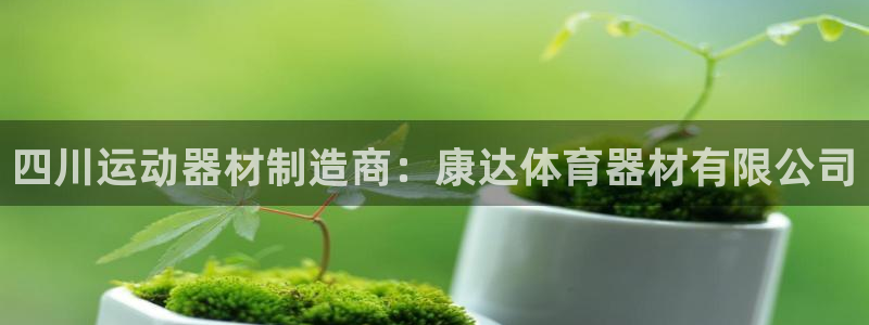 星欧娱乐是正规平台吗安全吗是真的吗：四川运动器材制造