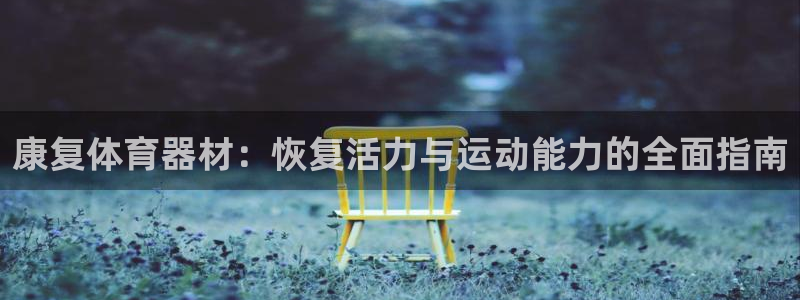 星欧娱乐是什么品牌：康复体育器材：恢复活力与运动能力