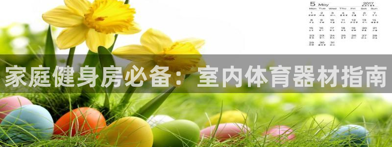 星欧娱乐扣款流程详解视频教程：家庭健身房必备：室内体