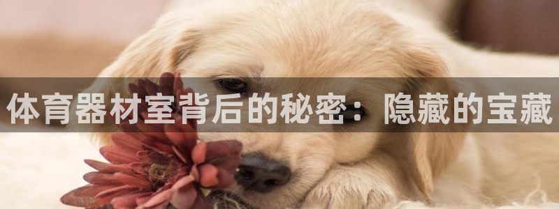 星欧娱乐扣钱步骤详解：体育器材室背后的秘密：隐藏的宝