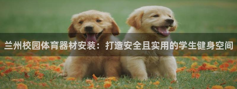 星欧娱乐官方客服联系方式：兰州校园体育器材安装：打造