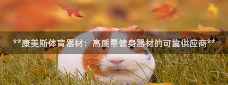 星欧娱乐公司地址：**康美斯体育器材：高质量健身器材