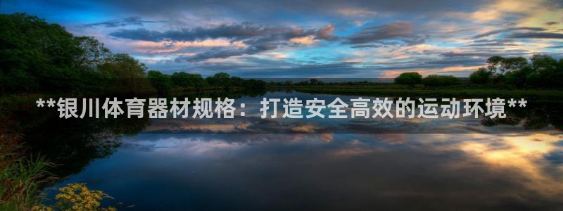 星欧娱乐属于什么档次的软件公司：**银川体育器材规格