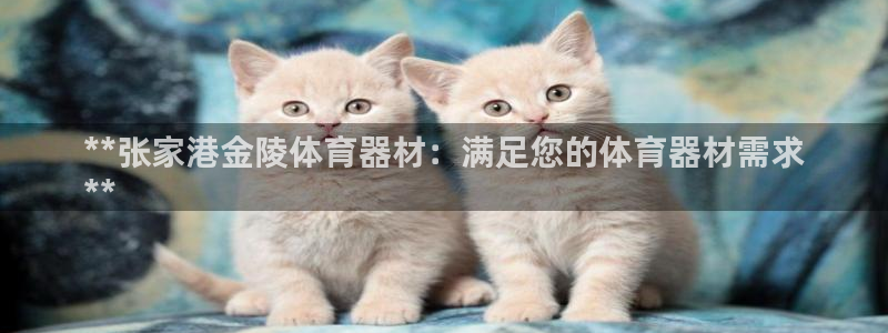 星欧娱乐官方客服联系方式查询：**张家港金陵体育器材