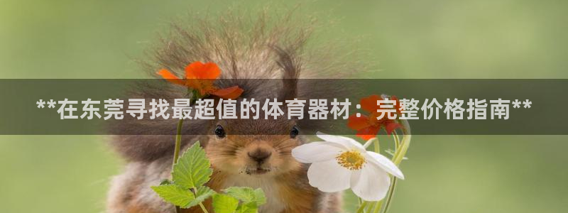 星奥娱乐集团怎么样：**在东莞寻找最超值的体育器材：