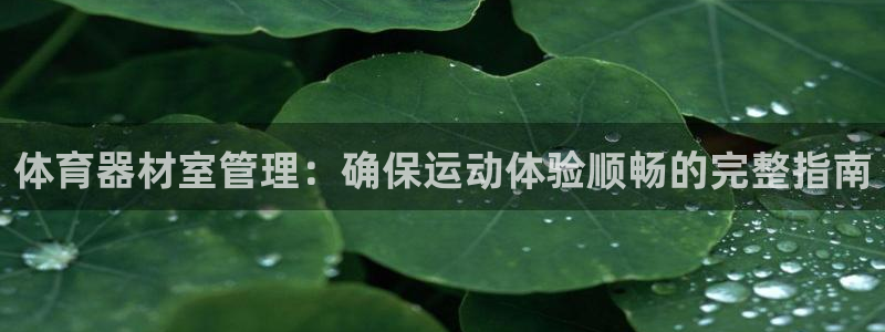 星欧娱乐公司创始人背景故事：体育器材室管理：确保运动