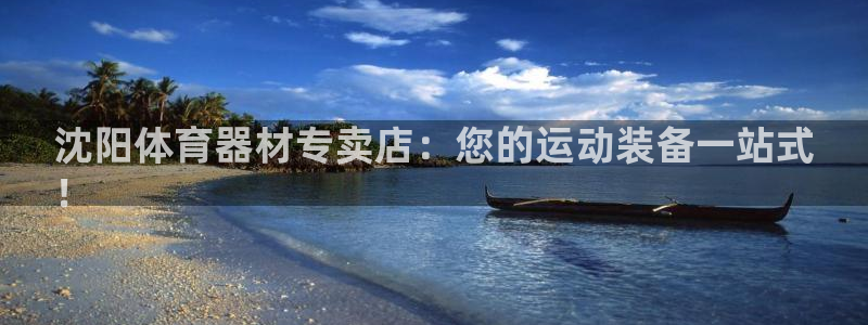 星欧娱乐属于什么档次的软件公司：沈阳体育器材专卖店：