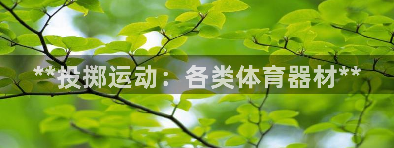 星奥娱乐集团：**投掷运动：各类体育器材**