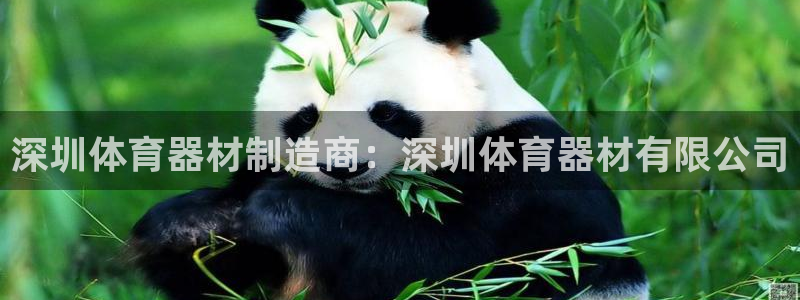 澳星国际娱乐集团：深圳体育器材制造商：深圳体育器材有
