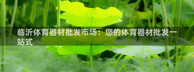 星欧娱乐扣款流程详解图片：临沂体育器材批发市场：您的