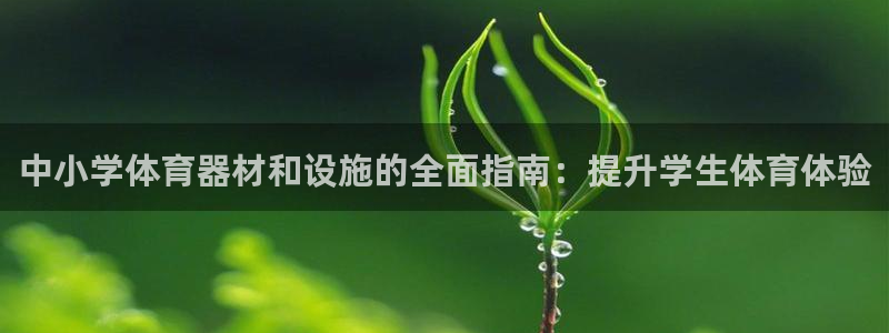 星欧娱乐彩票软件下载安装：中小学体育器材和设施的全面
