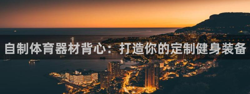 星欧娱乐工711.11是正规的吗：自制体育器材背心：