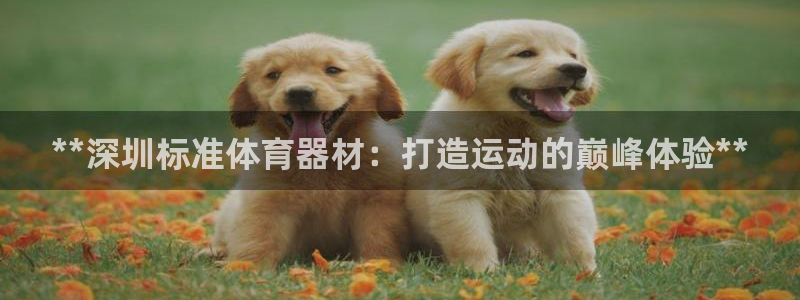 星欧娱乐平台道7O777：**深圳标准体育器材：打造
