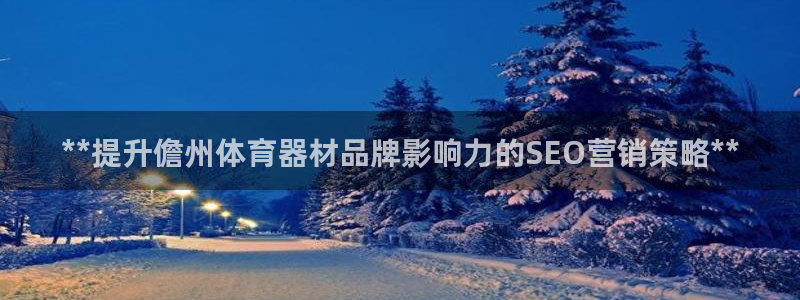星欧娱乐联最新功能介绍：**提升儋州体育器材品牌影响力的SE