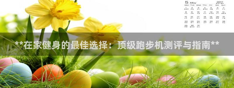 星欧娱乐总代.直开.中国：**在家健身的最佳选择：顶级跑步机