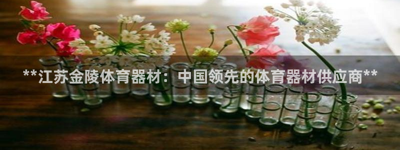 星娱乐online：**江苏金陵体育器材：中国领先的体育器材