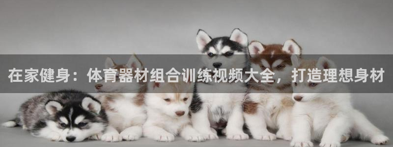 星娱乐包月业务是什么：在家健身：体育器材组合训练视频大全，打
