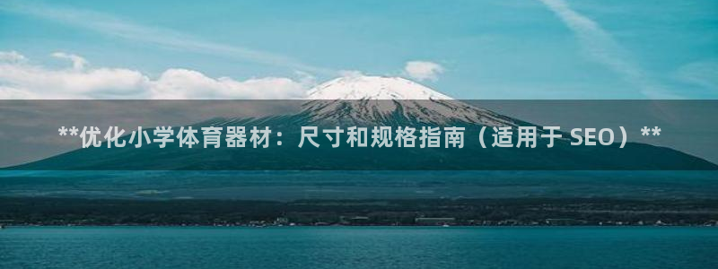 星娱乐文化传媒有限公司：**优化小学体育器材：尺寸和规格指南