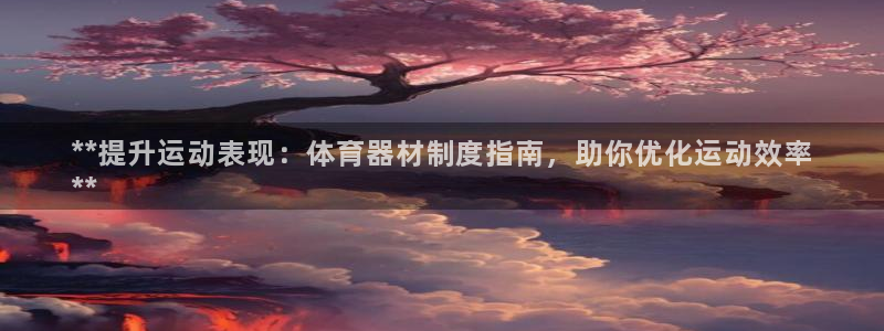 星欧娱乐工711.112扣费通知：**提升运动表现：体育器材 