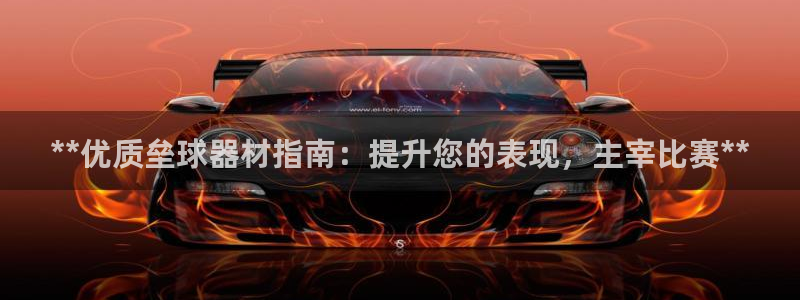 星欧娱乐联最新功能介绍：**优质垒球器材指南：提升您的表现， 