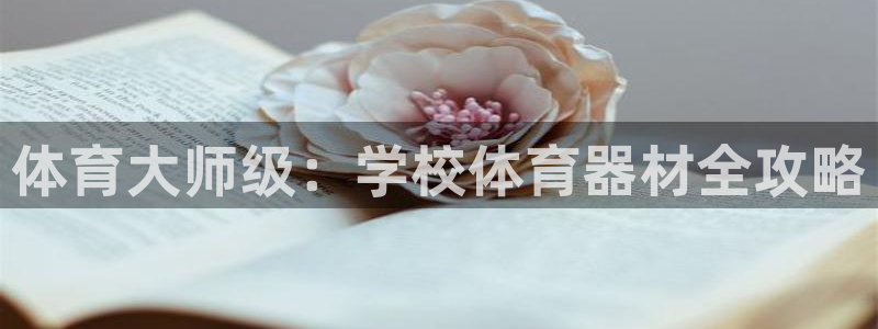 星澳娱乐公司简介
