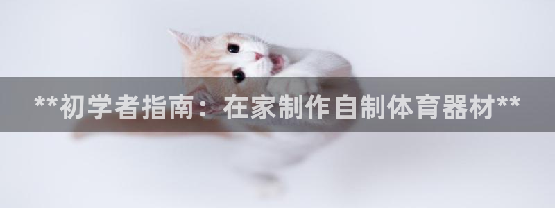 星欧娱乐是正规平台吗可靠吗：**初学者指南：在家制作自制体育