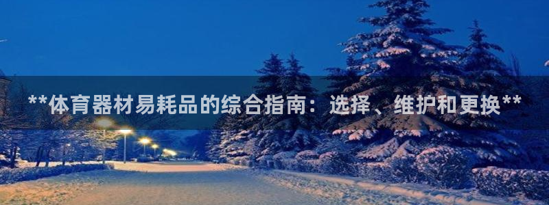 星欧娱乐扣款流程详解图高清：**体育器材易耗品的综合