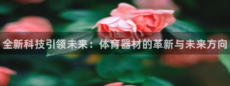 星娱乐文化传媒有限公司：全新科技引领未来：体育器材的革新与未 