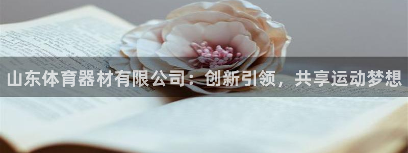 星娱乐文化传媒