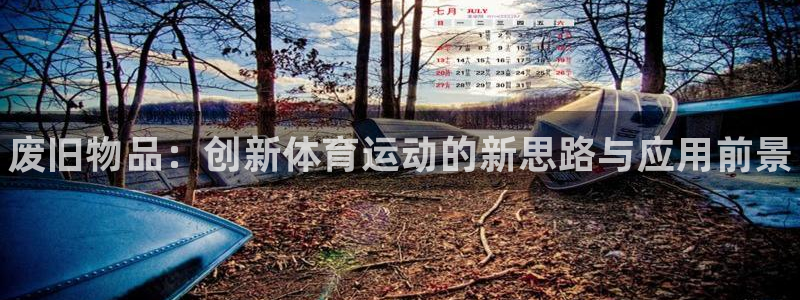 星欧娱乐的官方版本更新内容怎么删除