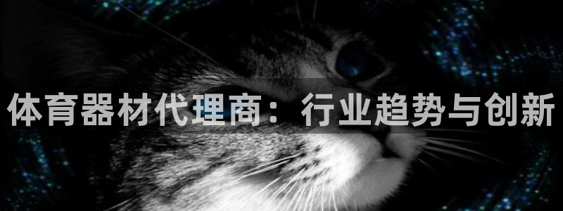 星欧娱乐工711.11是正规的吗