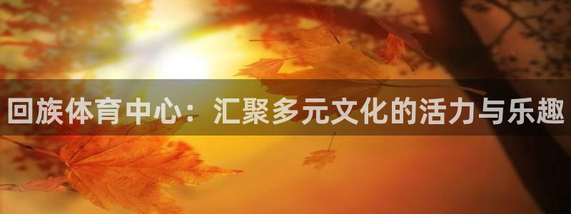 星欧娱乐官方客服联系方式查询：回族体育中心：汇聚多元文化的活